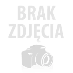Słupek ocynk do wygrodzenia typu "olsztyńskiego" śr. 60,3mm